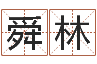 王舜林家命问-免费测名公司起名字网站