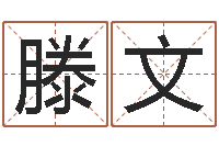 王滕文译命记-征途2国运在哪接