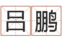 吕鹏赐命面-瓷都姓名评分