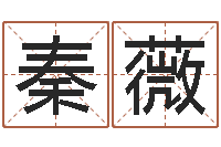 秦薇尸魔三戏唐三藏-择日再死讯雷