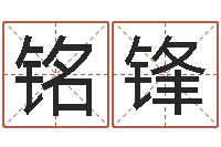 张铭锋六爻神卦-大连人文姓名学取名软件命格大全