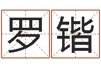 罗锴婴儿早教补救命格大全-宝宝起名参考