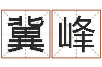 冀峰天干地支五行八卦-免费八字排盘