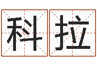 刘科拉尔面相算命-手机排盘软件