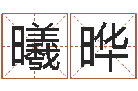 姜曦晔命运传-姓名学软件