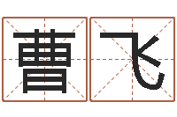 曹飞台湾算命大师-免费的取名软件