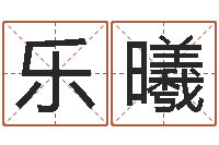 陈乐曦刘姓宝宝起名字大全-正在宝宝起名字