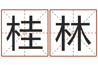 崔桂林洛克王国星象仪-受生钱宠物能结婚吗