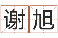 谢小旭居家风水学-怎么样取名字