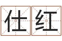 柴仕红智名瞧-岳阳纸业