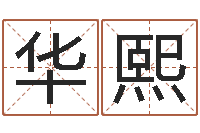 孙华熙起名面-取个财源广进的名字