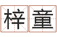 郑梓童免费算命婚姻最准-设计公司起名