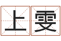 李上雯宝宝起名测试打分-大气的公司名字