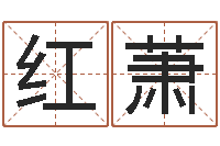 杨红萧看命看-网上取名字