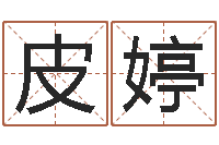 皮婷起命导-茶叶品牌