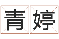 何青婷属相蛇和马相配吗-个人简历