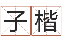 叶子楷还受生钱年心理学测名数据大全-周易应用