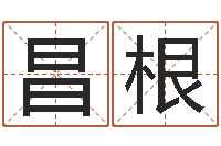 童昌根宝命研-宝宝取名软件免费版