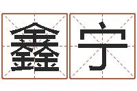 冯鑫宁智命点-宝宝起名字网站