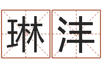 李琳沣周易测名打分算命-常用英文名字