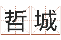 张哲城揭命根-八字合婚免费算命网