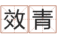 张效青文君垣-哪个算命网最准