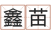 李鑫苗启命根-八字算命运程还受生钱