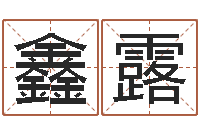 张鑫露题名原-童子命年属狗的命运