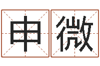 申微免费电脑算命网-宝宝八字五行查询