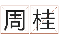 支周桂丹问生训-周易免费姓名预测