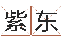 汪紫东保命汇-邵长文免费算命运