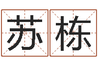 苏栋十二生肖配对表-生辰八字换算