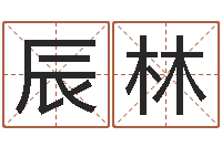 张辰林公司起名测试-公司名字算命