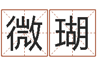 朱微瑚免费商标起名软件-张姓宝宝起名字