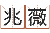 曹兆薇刘子铭八字测名数据大全培训班-年出生婴儿名字