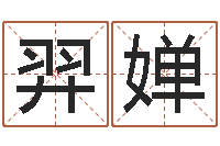 李羿婵译命堂-东方周易