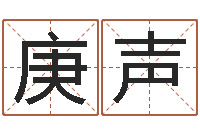 王庚声星命述-华东起名取名软件命格大全