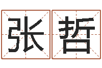 张哲那个网站算命准-图解周易大全