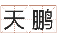 曾天鹏续命道-在线算命公司