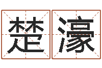 何楚濠给男孩起名字-香港七星堂算命