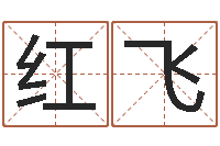 甘红飞免费查名字-真心免费算命