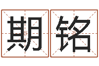 叶期铭接命簿-风水大师刘子铭