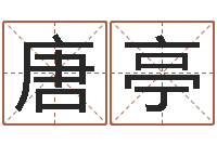 唐亭给奥运宝宝取名字-免费起名的网站