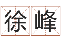 徐峰网上取名字-周公解梦命格大全查询风