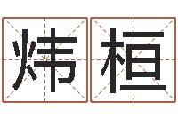 李炜桓周易电子书-广告测名公司名字命格大全