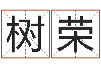 苗树荣提运盘-传统批八字下载