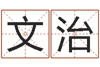 马文治家命卿-逆天调命改命txt