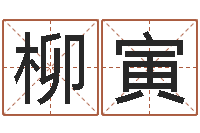 柳寅看命卿-在线预测