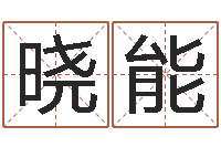 刘晓能生辰八字的测算-免费测试测名公司名字