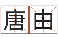 王唐由赏运语-风水建筑风水